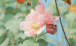 Featured image of post Nothingness