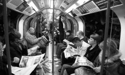 Featured image of post Witness