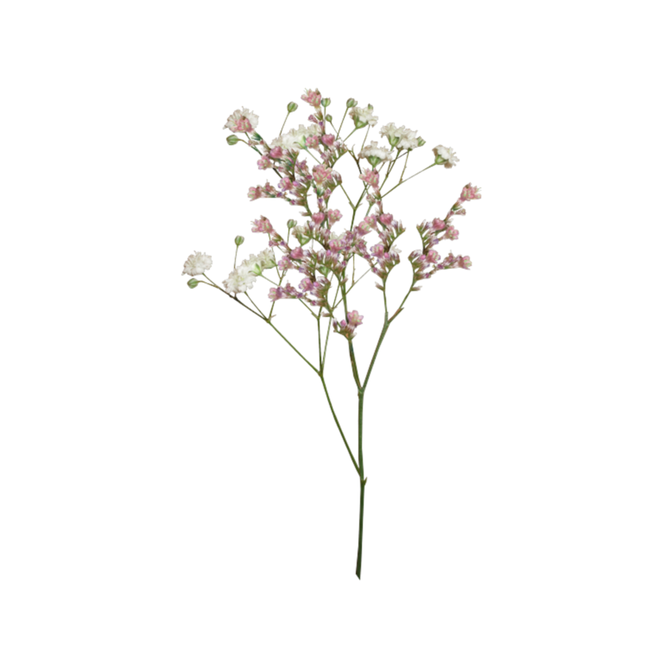 flower3