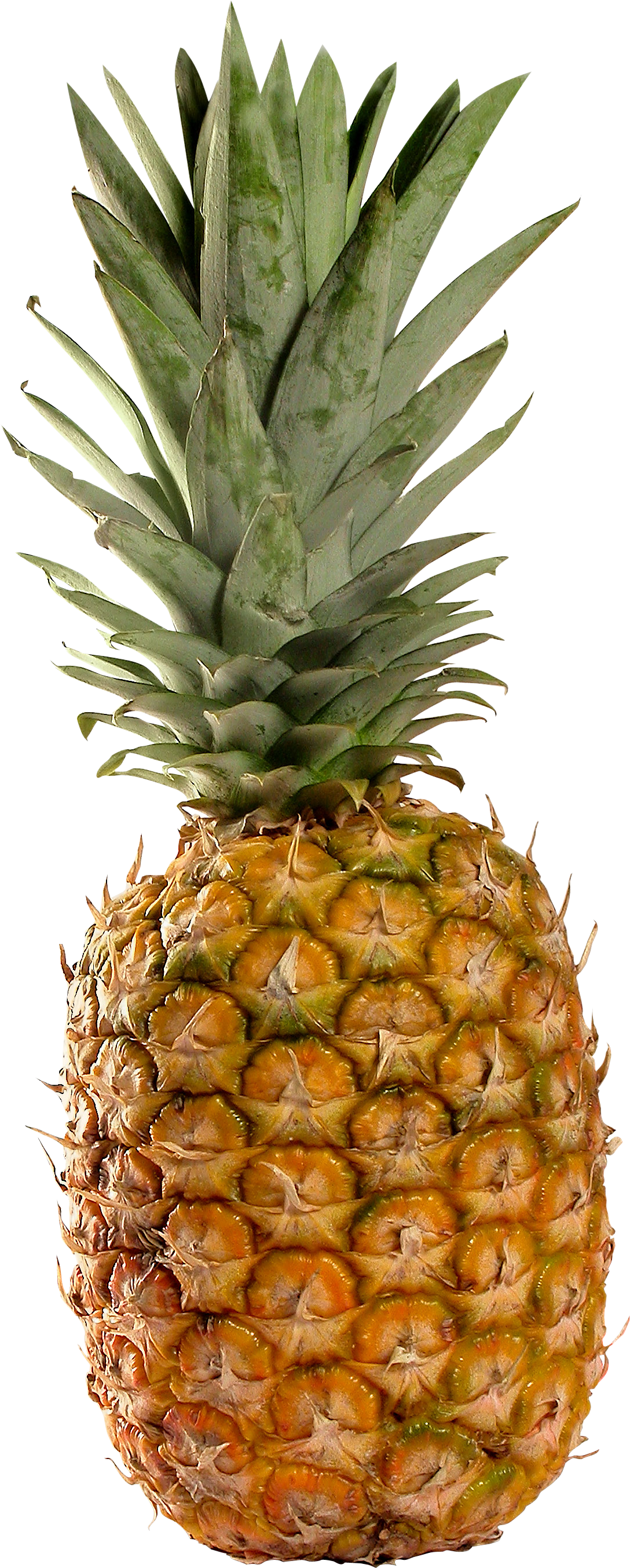 pineapple