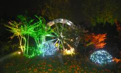 Featured image of post 一些关于家的回忆