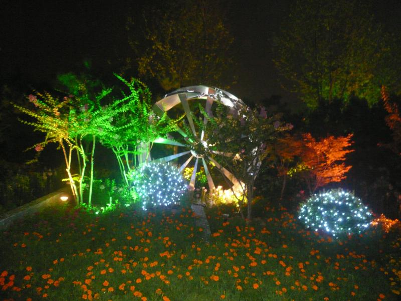 Featured image of post 一些关于家的回忆