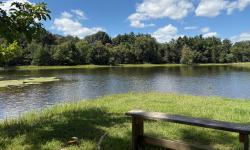 Featured image of post 就这样变成了钓鱼佬