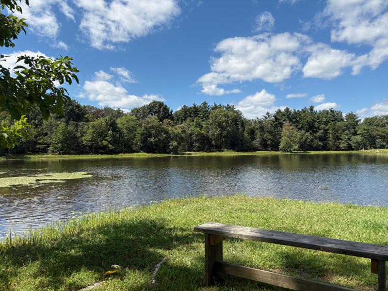 Featured image of post 就这样变成了钓鱼佬