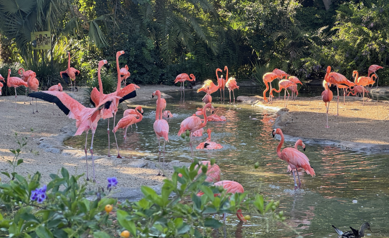 Featured image of post 想尽办法只为从对方口中听到我想你