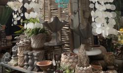 Featured image of post 赴美一年纪念