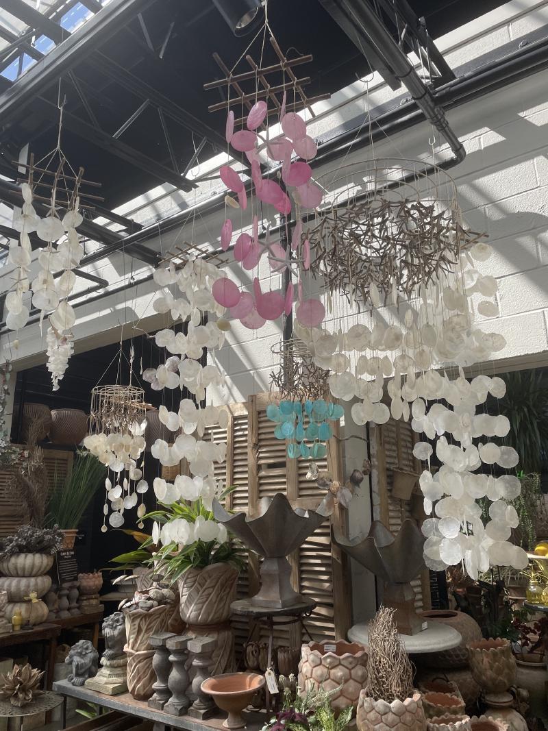 Featured image of post 赴美一年纪念