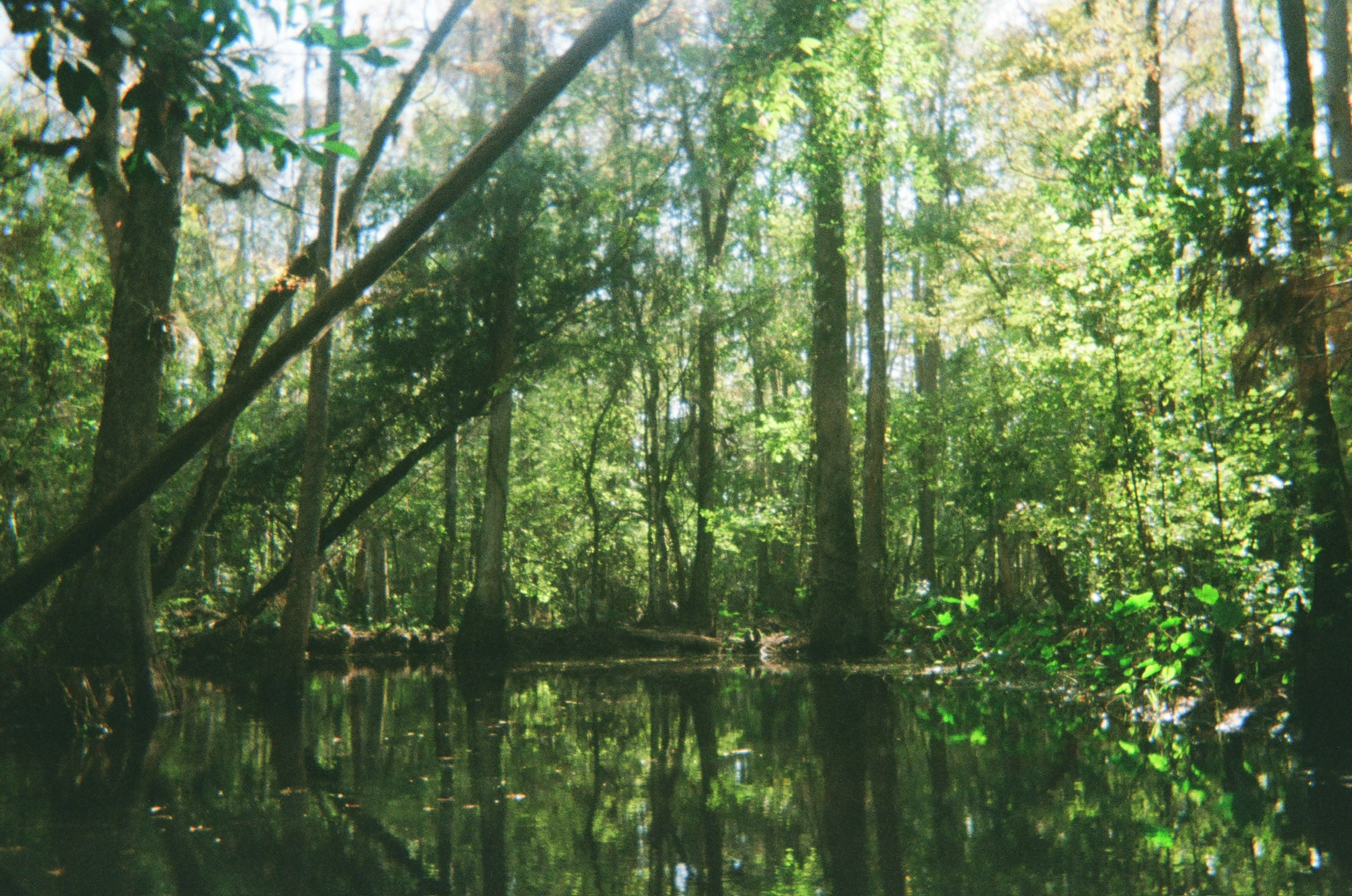 fl-orlando.jpg